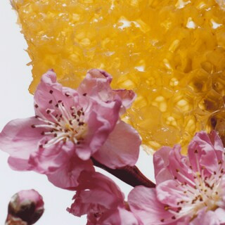 SPP | Nectarine Blossom & Honey Cologne | Jo Malone (US)