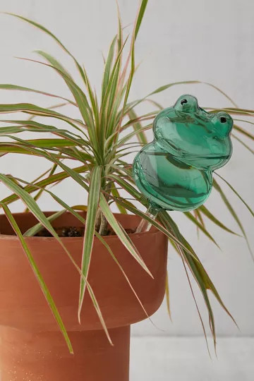 Shaped Glass Plant Watering Bulb | Urban Outfitters (US and RoW)