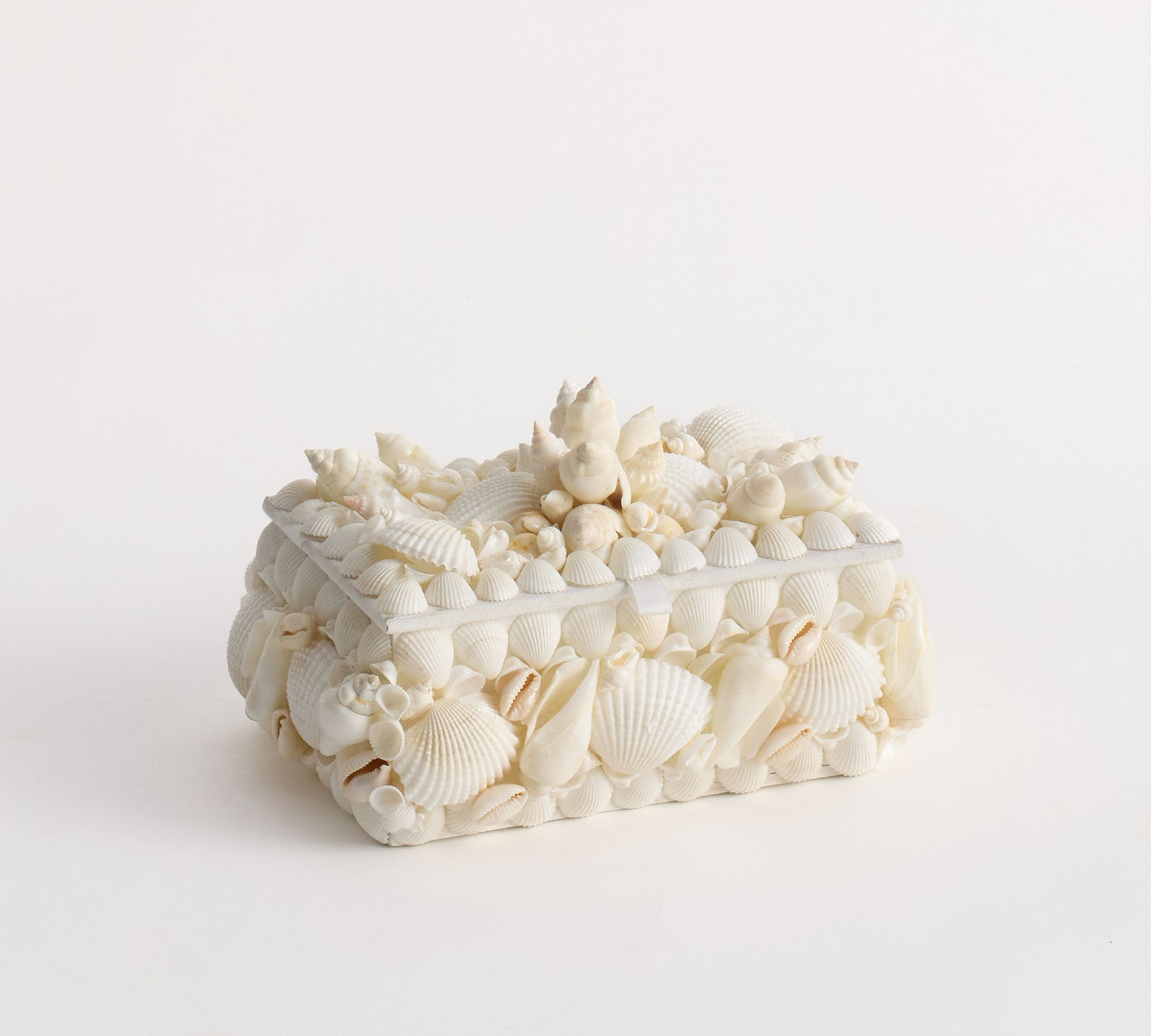 Shell Box &ndash; Small | Pottery Barn (US)