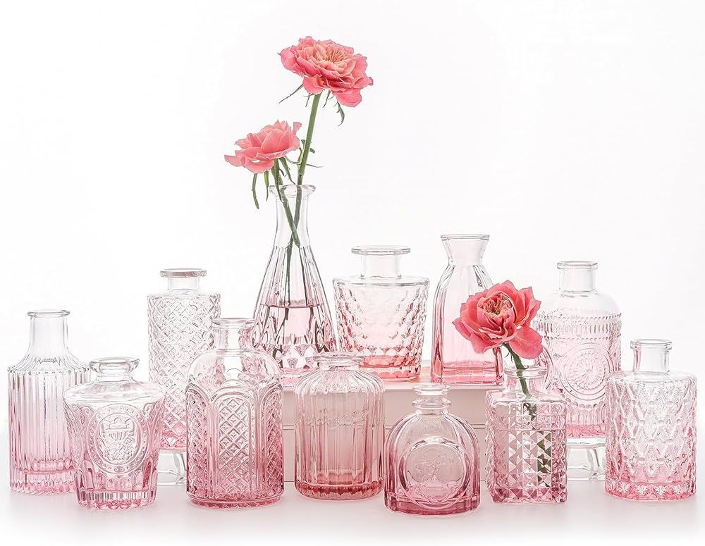 SUPMIND 12Pcs Glass Bud Vase Set, Small Flower Vase for Centerpieces, Pink Bud Vases in Bulk, Min... | Amazon (US)