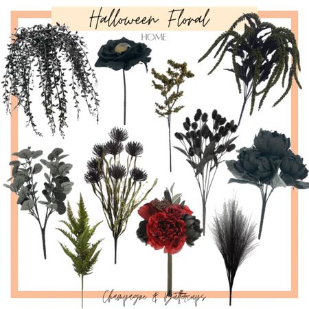 🖤Halloween inspired floral!! These are my favorite stems to add into a spooky Halloween arrangement! They add great color and texture!

#halloween #halloweendecor #halloweendecorations #halloweenfloral #modernfarmhousehalloween

#LTKhome #LTKSeasonal #LTKHalloween