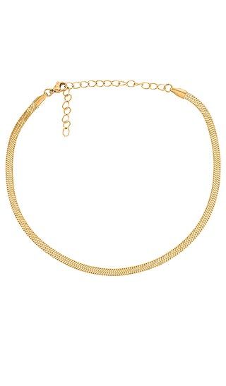 Nic Snake Chain Choker Necklace | Revolve Clothing (Global)