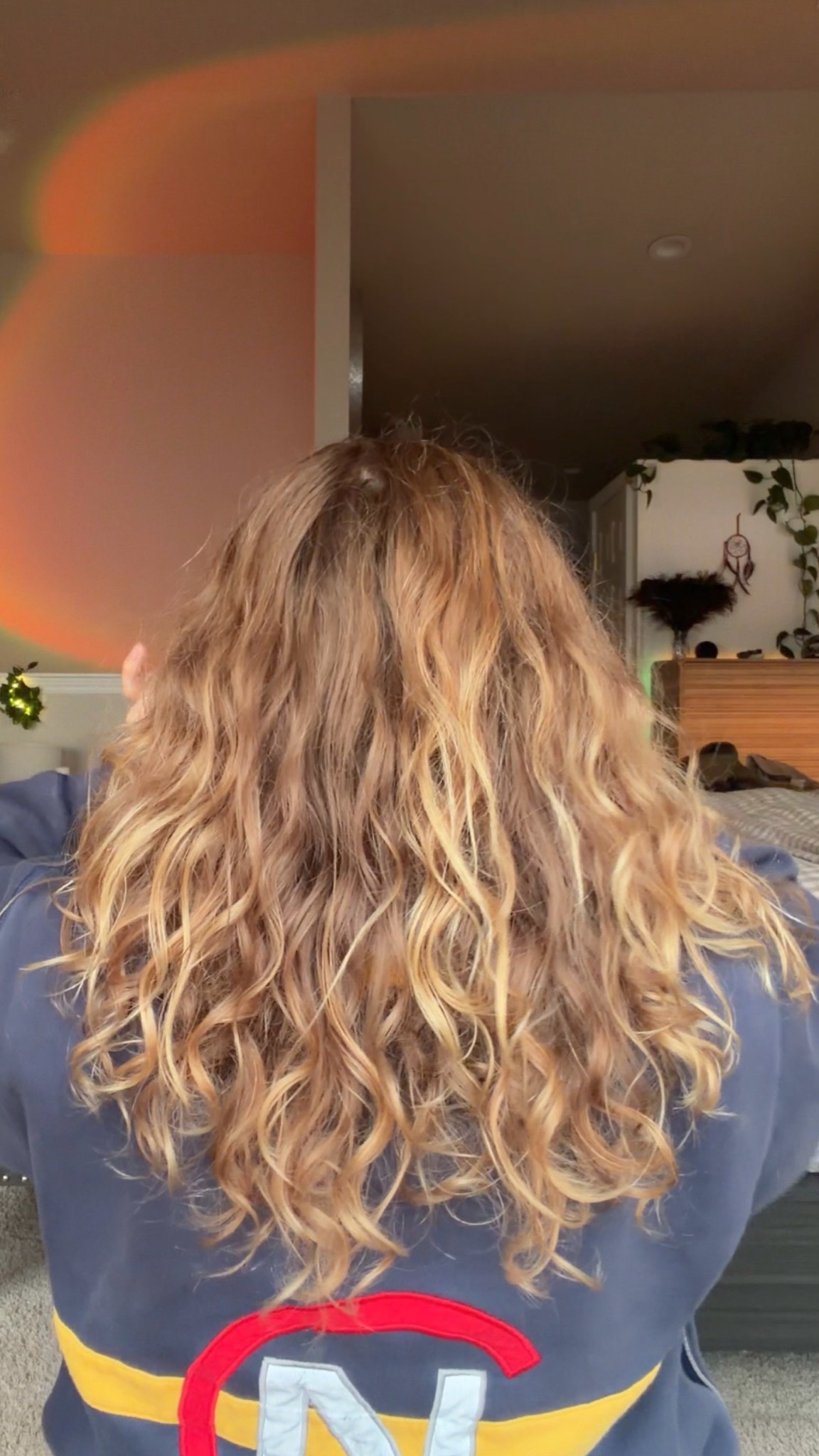 What I used to keep my curls, happy and healthy

#LTKselfcare