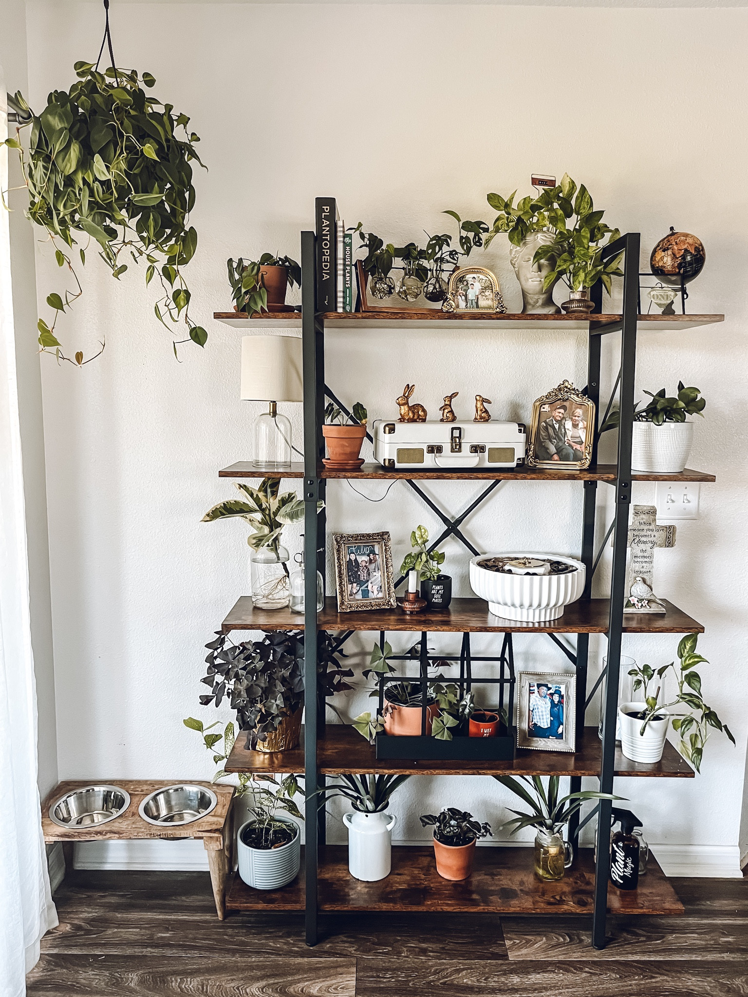 Hello spring!!! How are you plant babies doing? Loving my plant shelf!! 

#LTKSeasonal #LTKsalealert #LTKhome