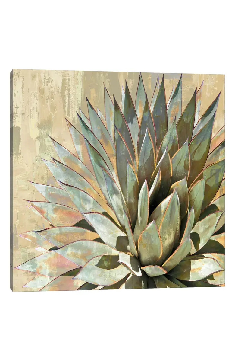 Succulent I by Lindsay Benson Canvas Wall Art | Nordstrom Rack