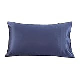 Lilysilk 22 Momme Terse Mulberry Silk Pillowcases, King, Ocean Blue, 1pc | Amazon (US)