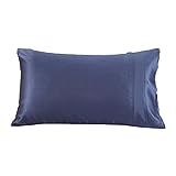 Lilysilk 22 Momme Terse Mulberry Silk Pillowcases, King, Ocean Blue, 1pc | Amazon (US)