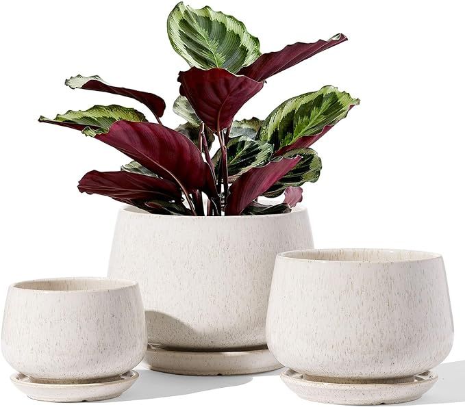 LE TAUCI Plant Pots, 4.1+5.1+6.5 inch, Set of 3, Ceramic Planters with Drainage Hole and Saucer, ... | Amazon (US)