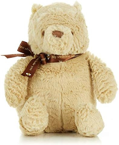 Winnie the Pooh | Amazon (US)