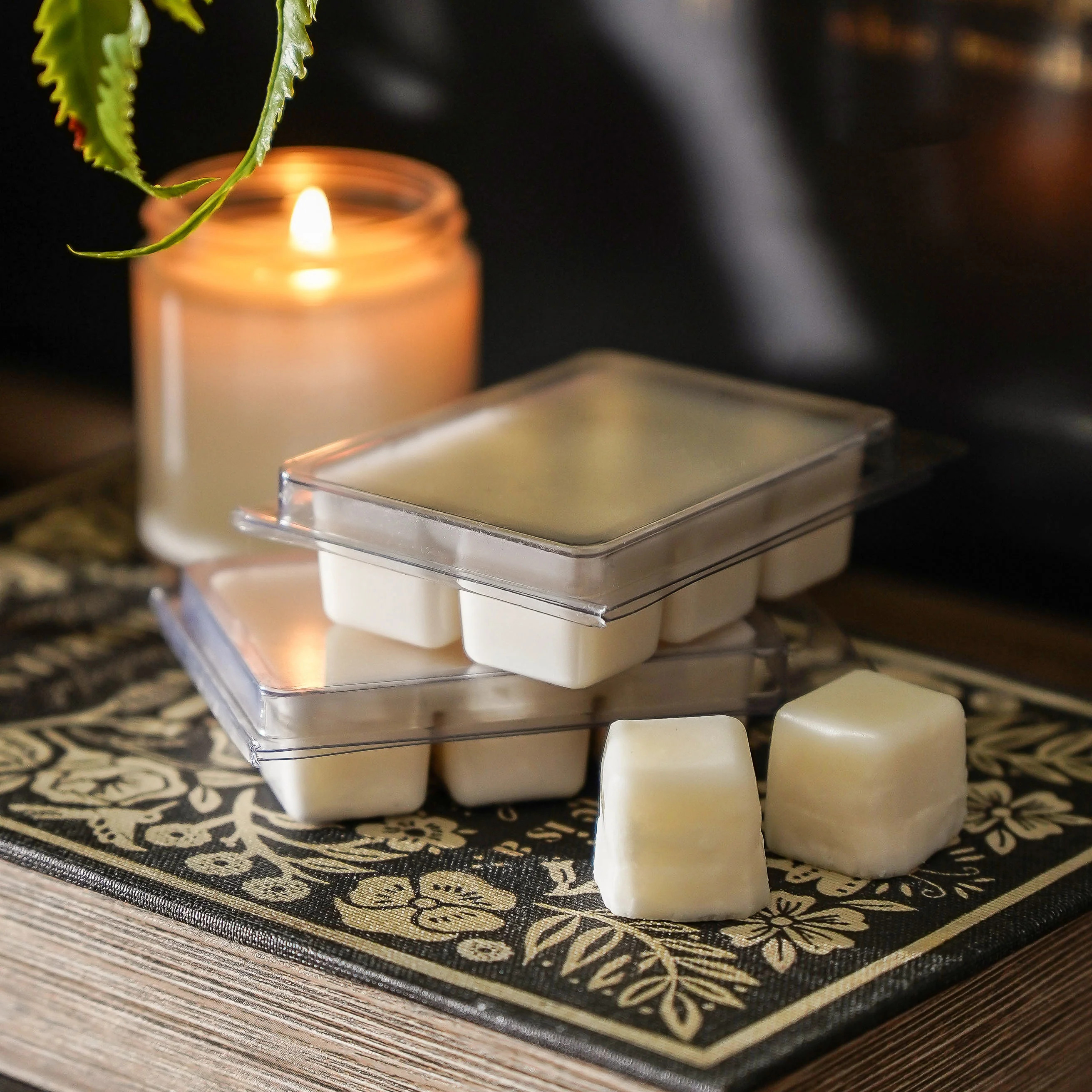 Wax Melt Subscription | MJHome