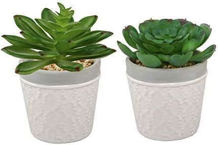 Flora Bunda Artificial Plants Cactus Set of 2 Artificial Succulent in 3" Ceramic Dress Print Pot,... | Amazon (US)