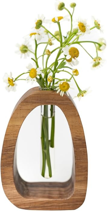Solid Wood Frame Glass Test Tube Vase Desk Hydroponic Plant, Enhances Home and Office Environment... | Amazon (US)