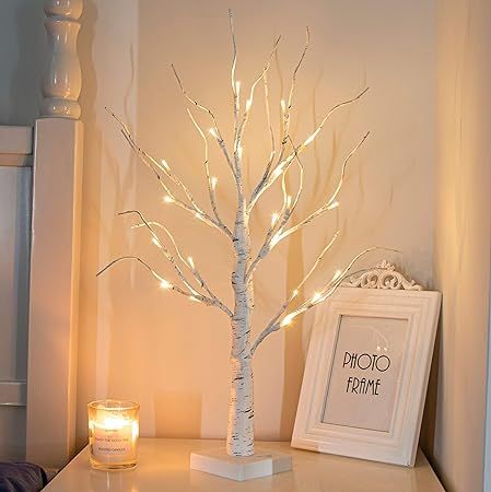 PEIDUO 24” 2FT 24LT Lighted Birch Tree Battery Powered Timer Warm White LED Artificial Branch T... | Amazon (US)