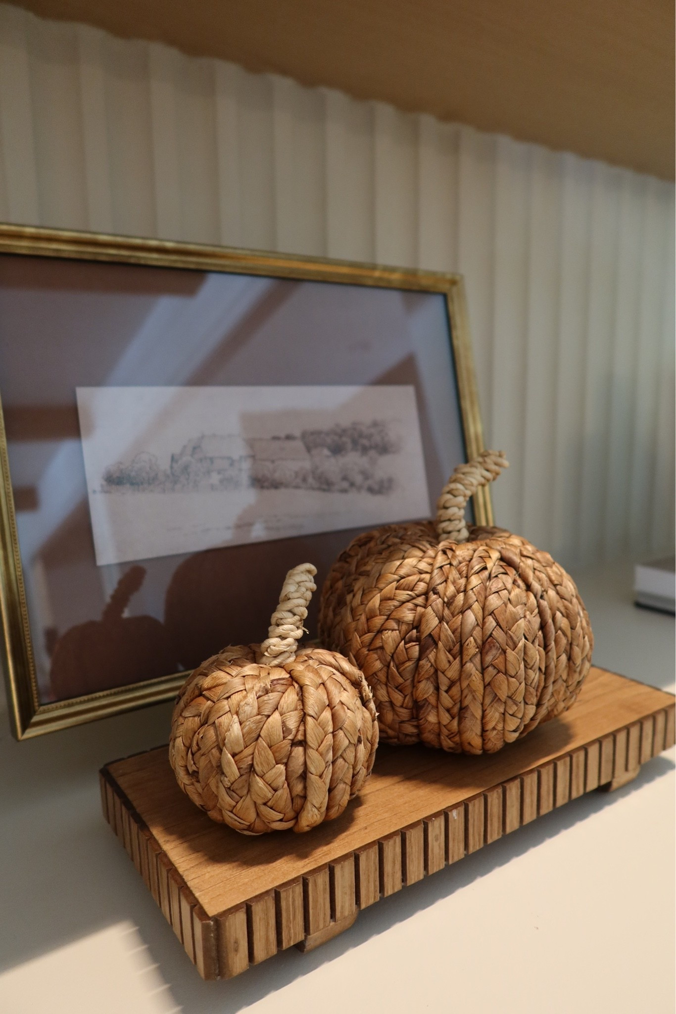 Styled this framed artwork piece to our shelves (just $20, from Target!) along with some woven pumpkins- I got these last year at Target also, but linked similar! 

Fall home decor || shelf styling || fall home || Target decor

#LTKHome #LTKSeasonal