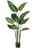 One 5 Foot Artificial Silk Bird of Paradise Palm Tree Potted Plant | Amazon (US)