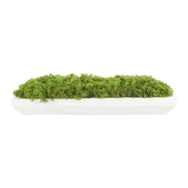 Moss Arrangement in Wood Dough Bowl - Green - Bed Bath & Beyond - 39876196 | Bed Bath & Beyond
