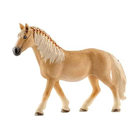 American Saddlebred Mare | Amazon (US)