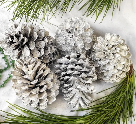 Large White Pinecone Silver Glitter Set of 5, Christmas Pinecones,Rustic Winter Wedding,Eco Mante... | Etsy (US)