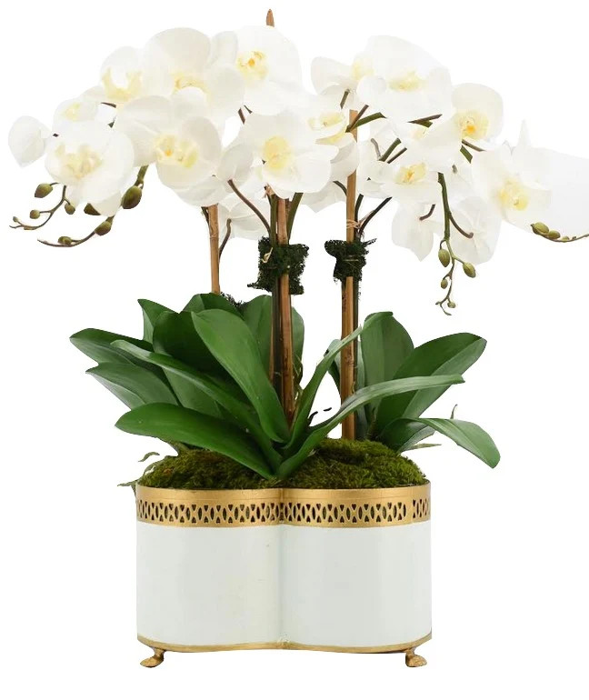 Four Stem White Orchid in Quatrefoil Pierced Planter | The Enchanted Home