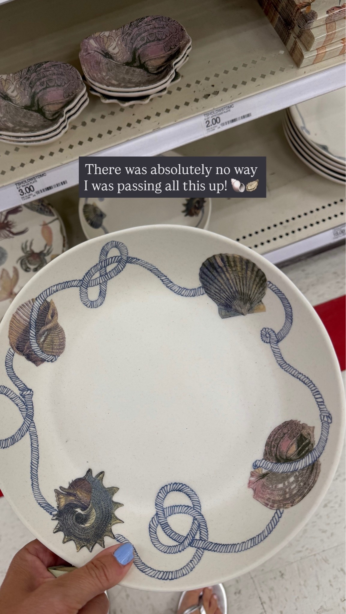 Melamine + more 🐚🦪

#LTKHome #LTKSeasonal