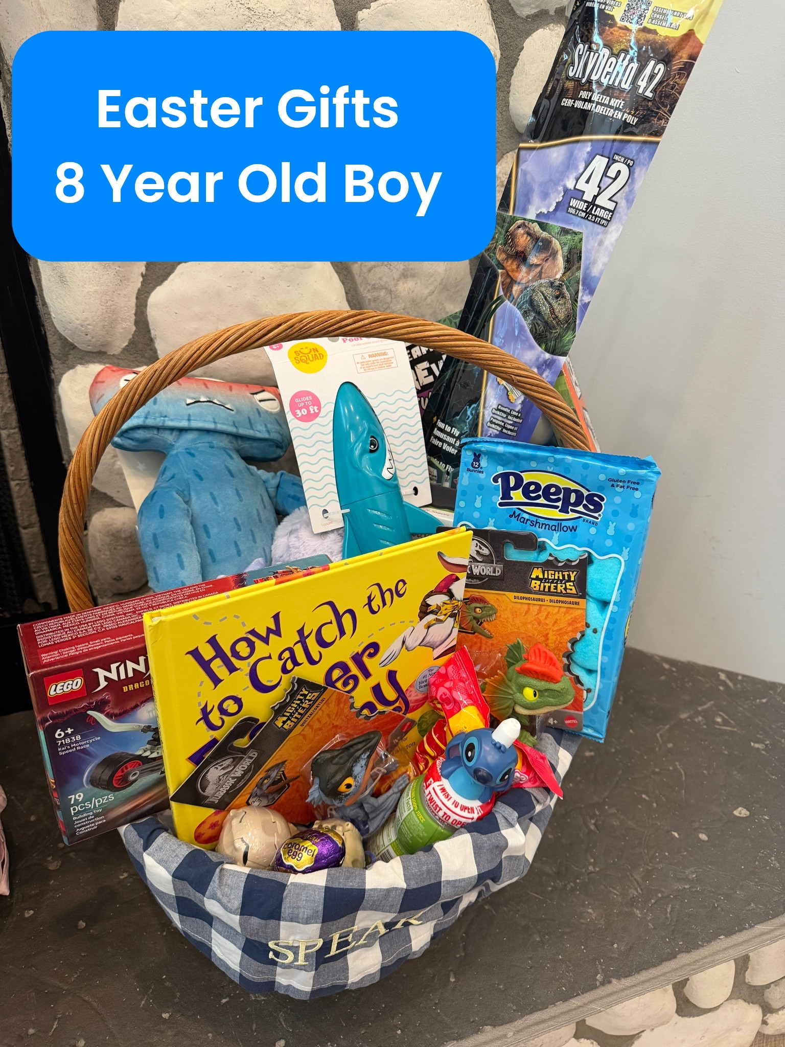 Easter Basket Gifts and Basket Filler Ideas for 8 Year Old Boy 

#LTKdayinmylife #LTKKids