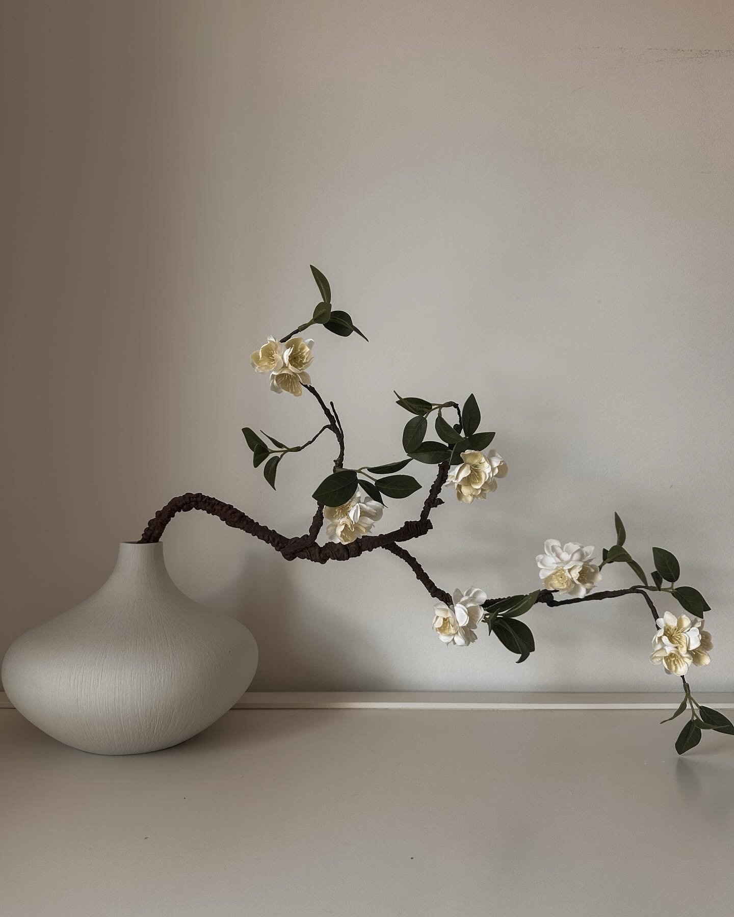 Cherry blossoms for Spring 🍒



#amazonhomefind #amazonfind #amazondeals #neutralhomefinds #cherryblossom #homedecor #neutralaesthetic #affordablehomedecor #shelfdecor
#Itkhome #amazonhome

#LTKSpringSale #LTKSeasonal #LTKfindsunder50