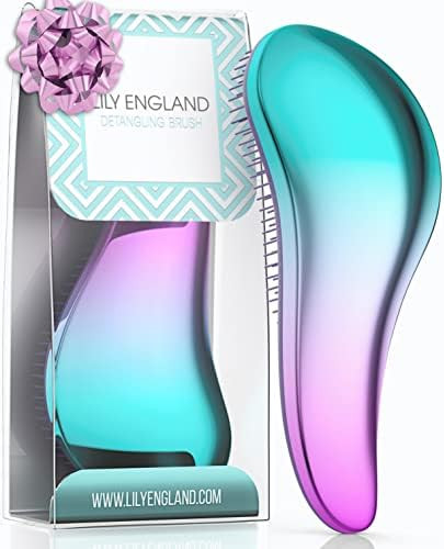 Amazon.com : Detangling Brush. Detangler Hairbrush for Curly, Thick, Natural, Straight, Fine, Wet... | Amazon (US)