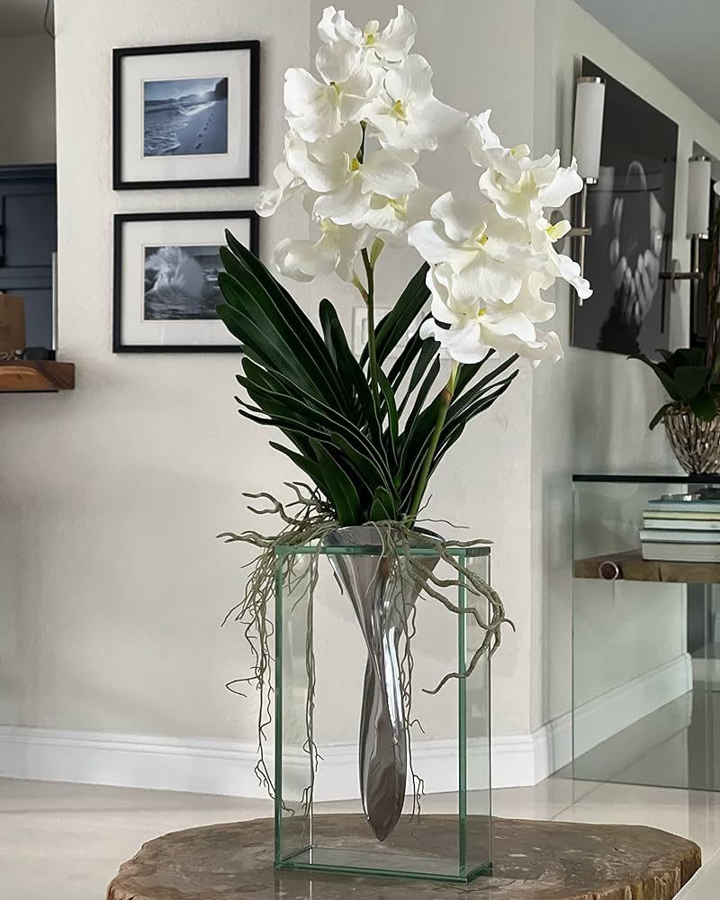 CFA Design Group Elvis Floating Aluminum Vase with Artificial White Vanda Orchids | Amazon (US)