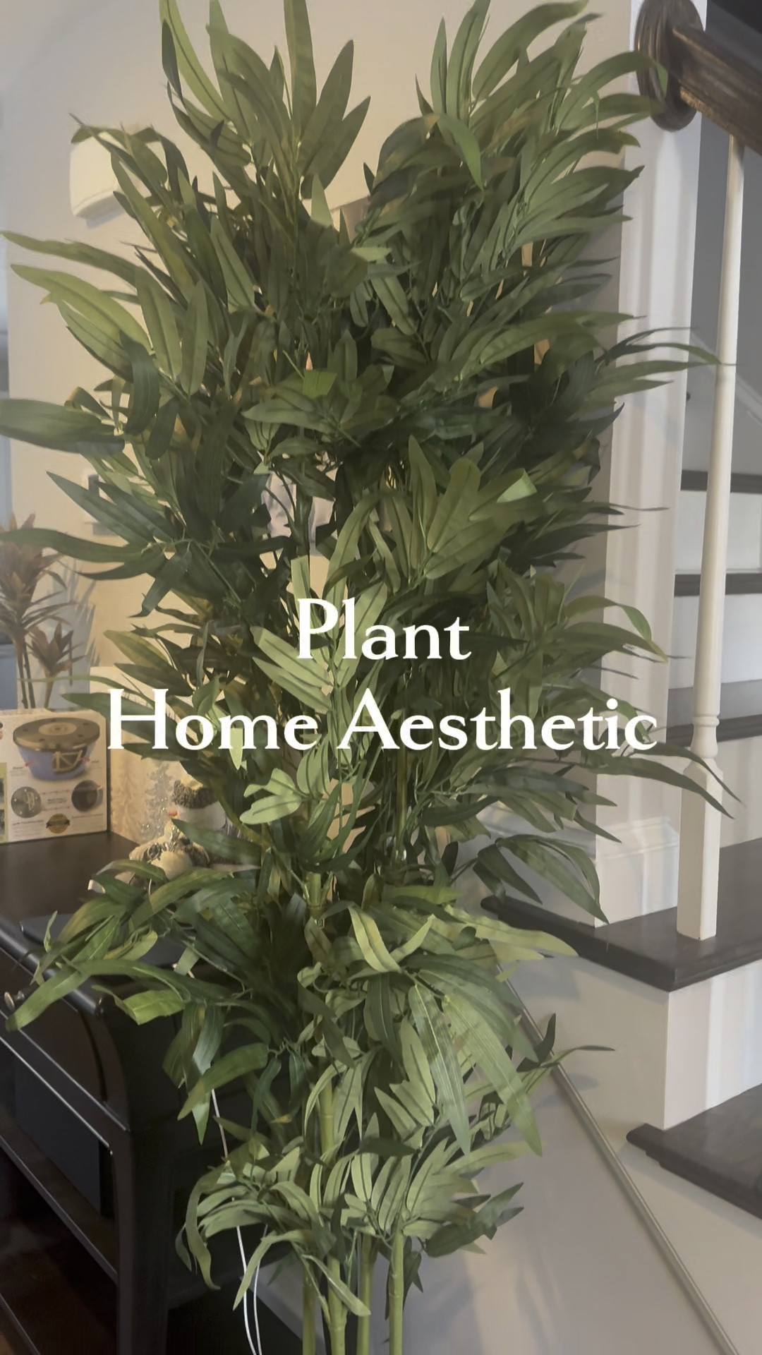 Home decor with bamboo plants 🌿 

#LTKHome #LTKU #LTKSaleAlert