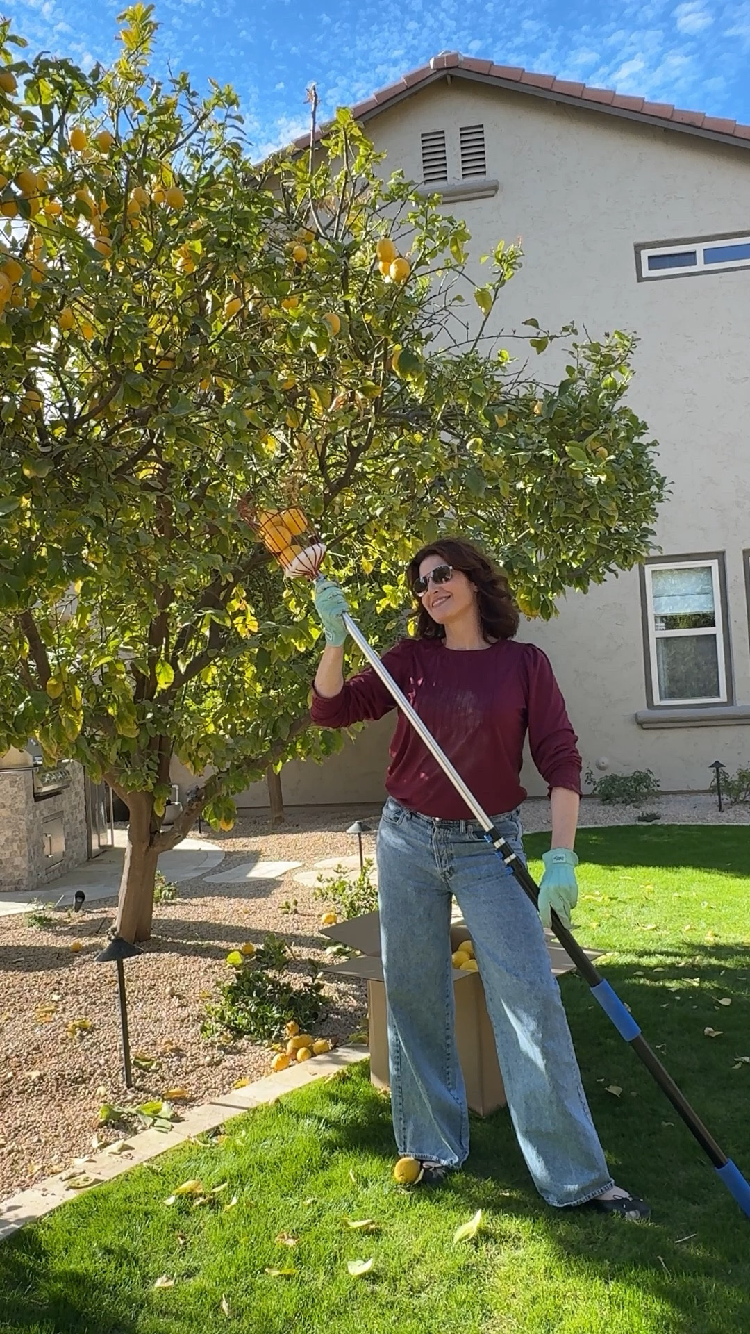 The thing you never knew you needed 😁🍋
An extendable fruit picker!! Turns lemon picking into a fun sport lol. Works well. Sometimes it’s a bit challenging in dense branch territory but it can also help shake branches for lemons to fall 😁 This one is a reasonable price and I like that it’s easy to extend. 

Happy fruit picking!! 🍋🍊🍑🥑



#LTKHome #LTKFindsUnder50