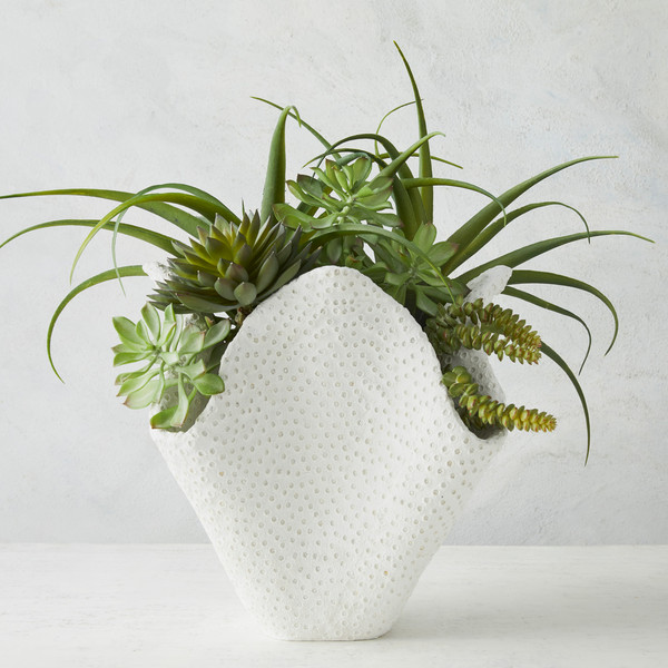 Coral Vase | Z Gallerie