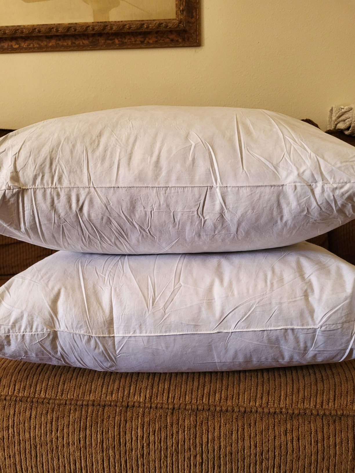 JA COMFORTS 12×20 Premium Goose Down Feather Throw Pillow Inserts(Set of 2)-5% Down Filling,High Filling Weight,250 TC Cotton Cover, Square, White | Amazon (US)