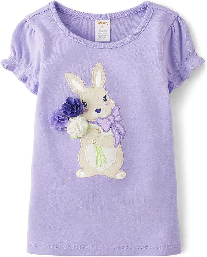 Gymboree Girls' and Toddler Embroidered Graphic Short Sleeve T-Shirts | Amazon (US)