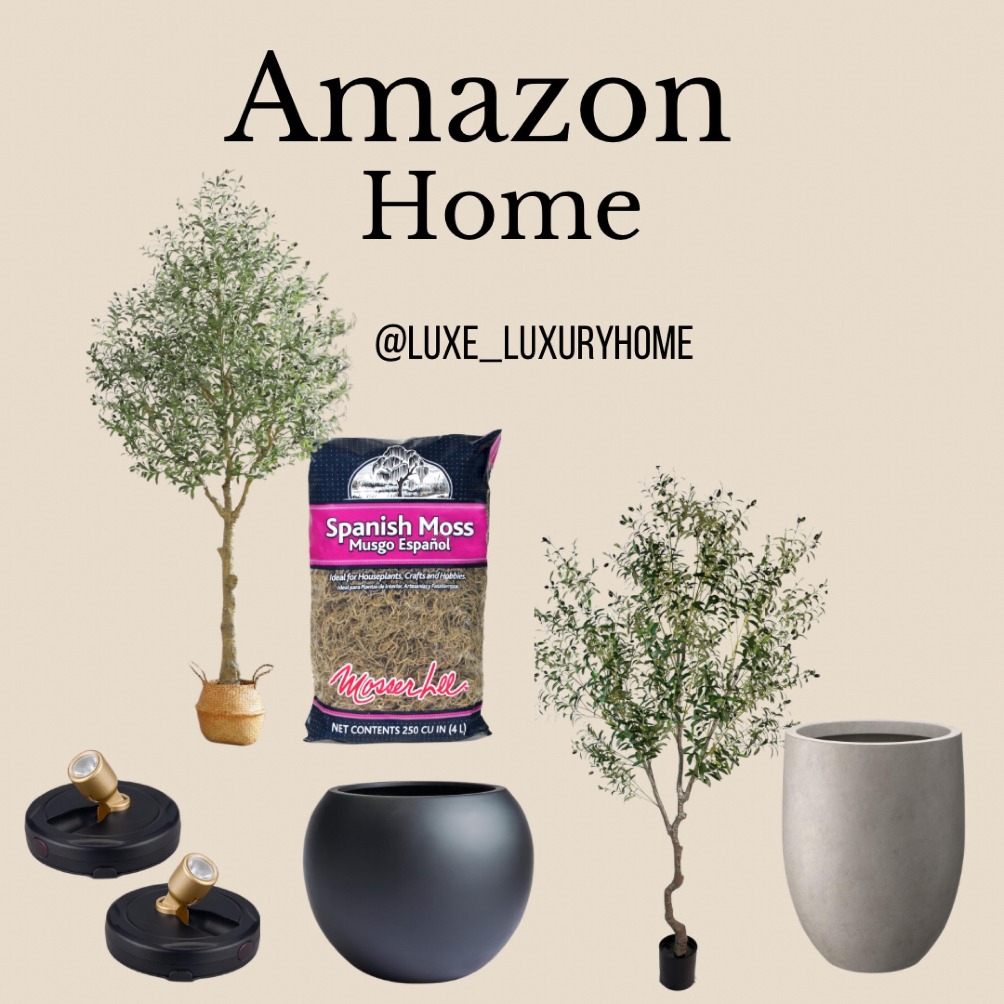 Amazon home finds
#ltkhome