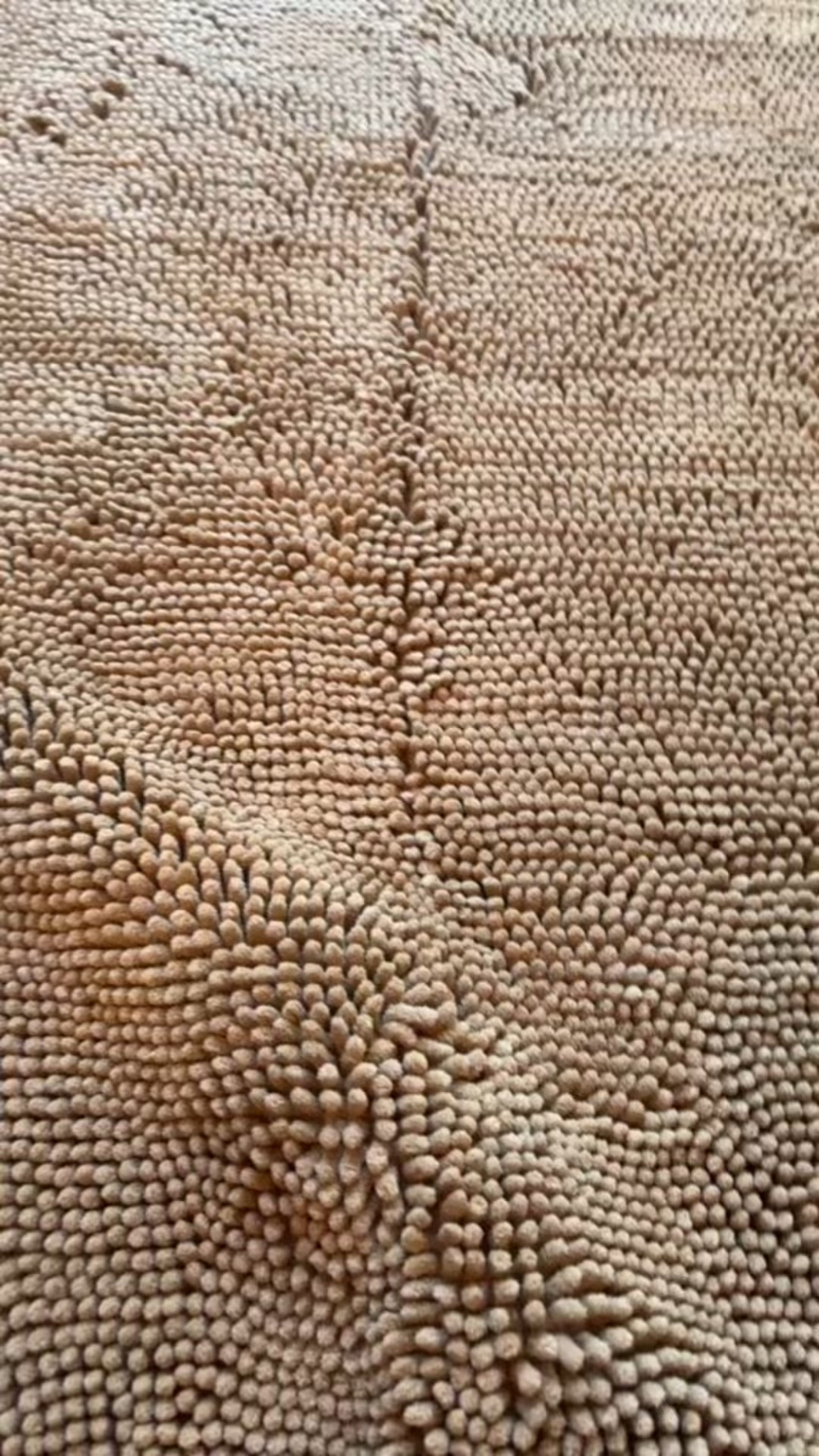 This muddy paws mat is perfect for absorbing water and helping with muddy paws. 

#LTKHome #LTKdayinmylife #LTKFindsUnder50