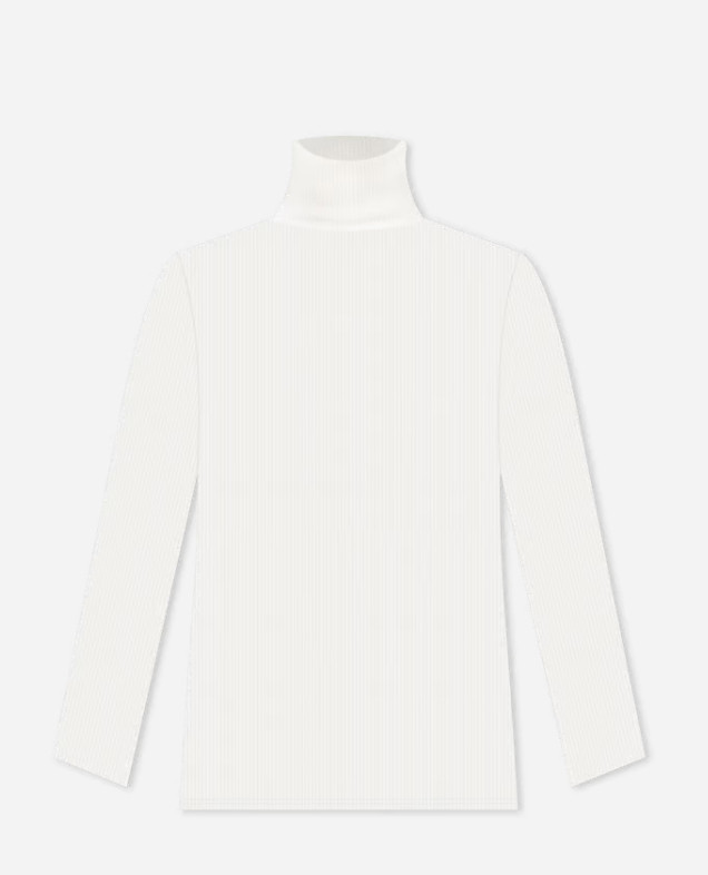 A white ribbed turtleneck is a staple in my wardrobe and I lost my old one - I found this Winter White Arlo Ribbed Turtleneck which is perfect as a layering staple! 

 #LTKOver40 #LTKStyleTip