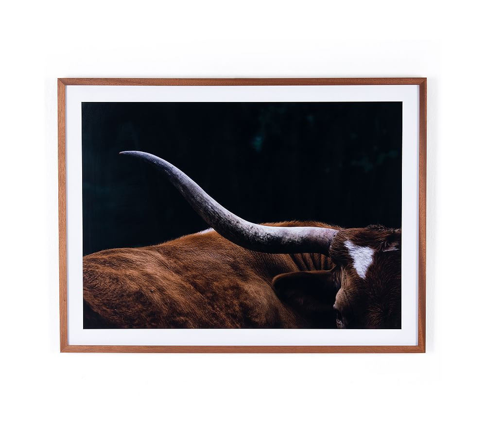 Longhorn Lull Framed Print | Pottery Barn (US)