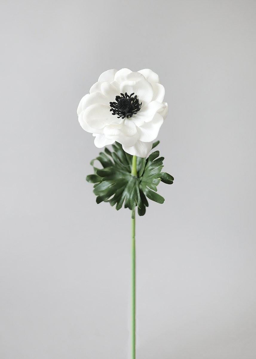 Real Touch White Anemone Flower with Black Center - 14" | Afloral (US)
