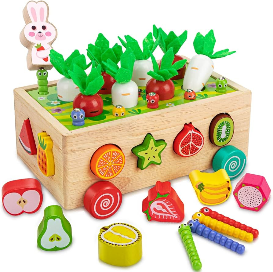 Baby Montessori Toys for 1 2 3 4 Year Old, Wooden Toddler Shape Sorting Toys for Kids Age 3-4, Ed... | Amazon (US)