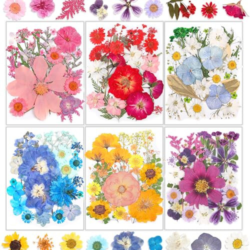 Resiners 174Pcs Dried Flowers for Craft, Pressed Flowers Colorful Real Natural Dry Herbs Kit for Scrapbook Supplies Card Making Resin Jewelry Making Soap Candle DIY Crafts | Amazon (US)