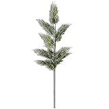 K&K Interiors 54239A 28 Inch Frosted Juniper Stem, Green | Amazon (US)