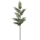K&K Interiors 54239A 28 Inch Frosted Juniper Stem, Green | Amazon (US)