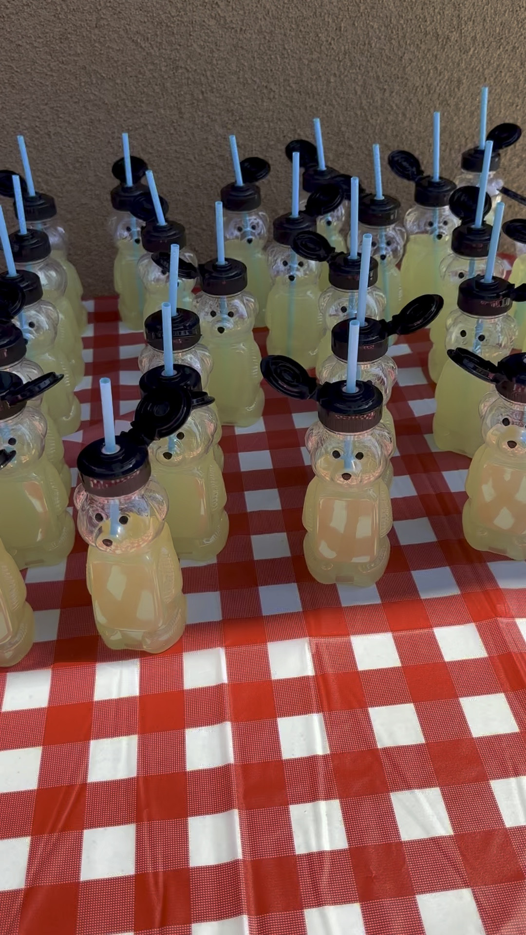 Teddy Bear Picnic | #teddybearpicnic #teacher

#LTKParties #LTKKids #LTKVideo