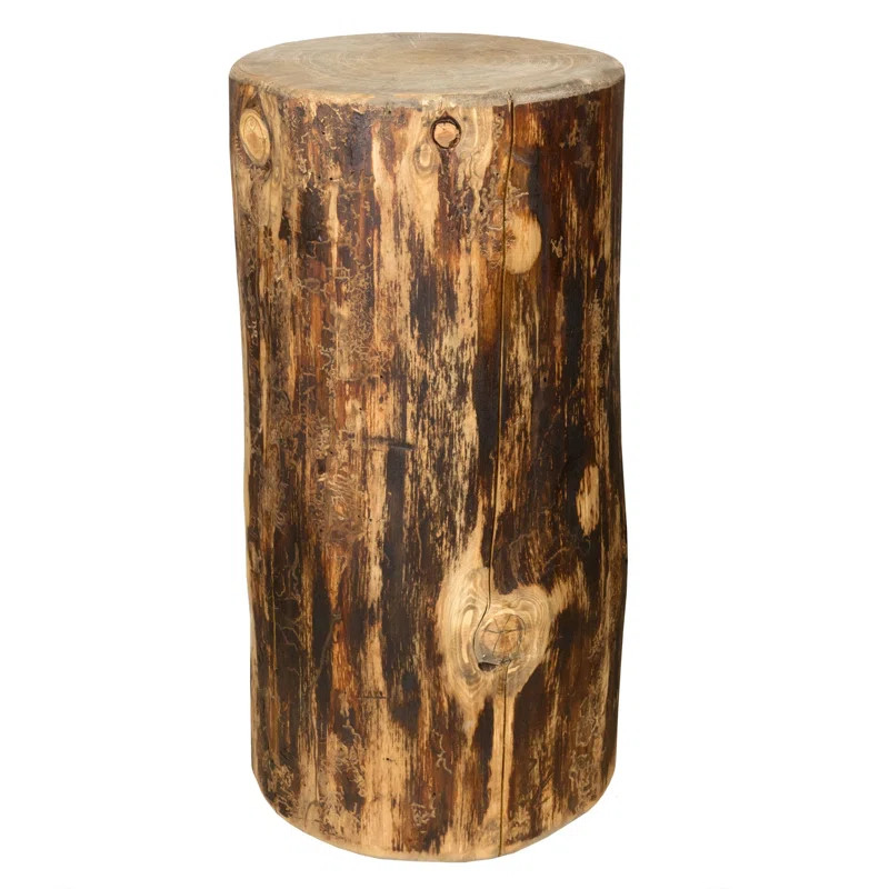 Tustin 25'' Tall Solid Wood Tree Stump End Table | Wayfair North America