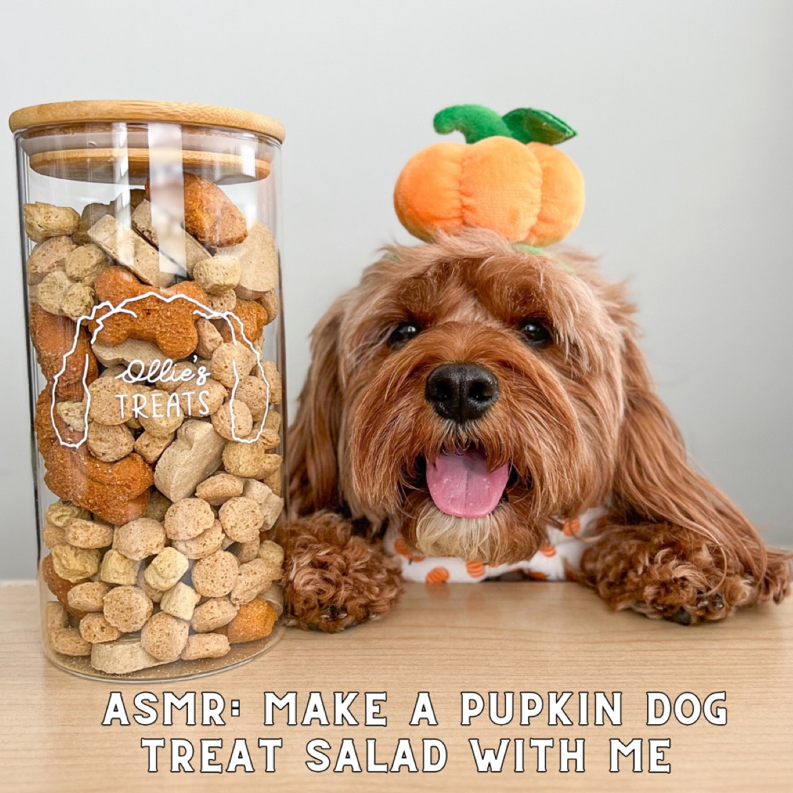 Dog treato salad using 4 pumpkin flavored treats. You could use any treats you want! Linked all the ones I used below! 