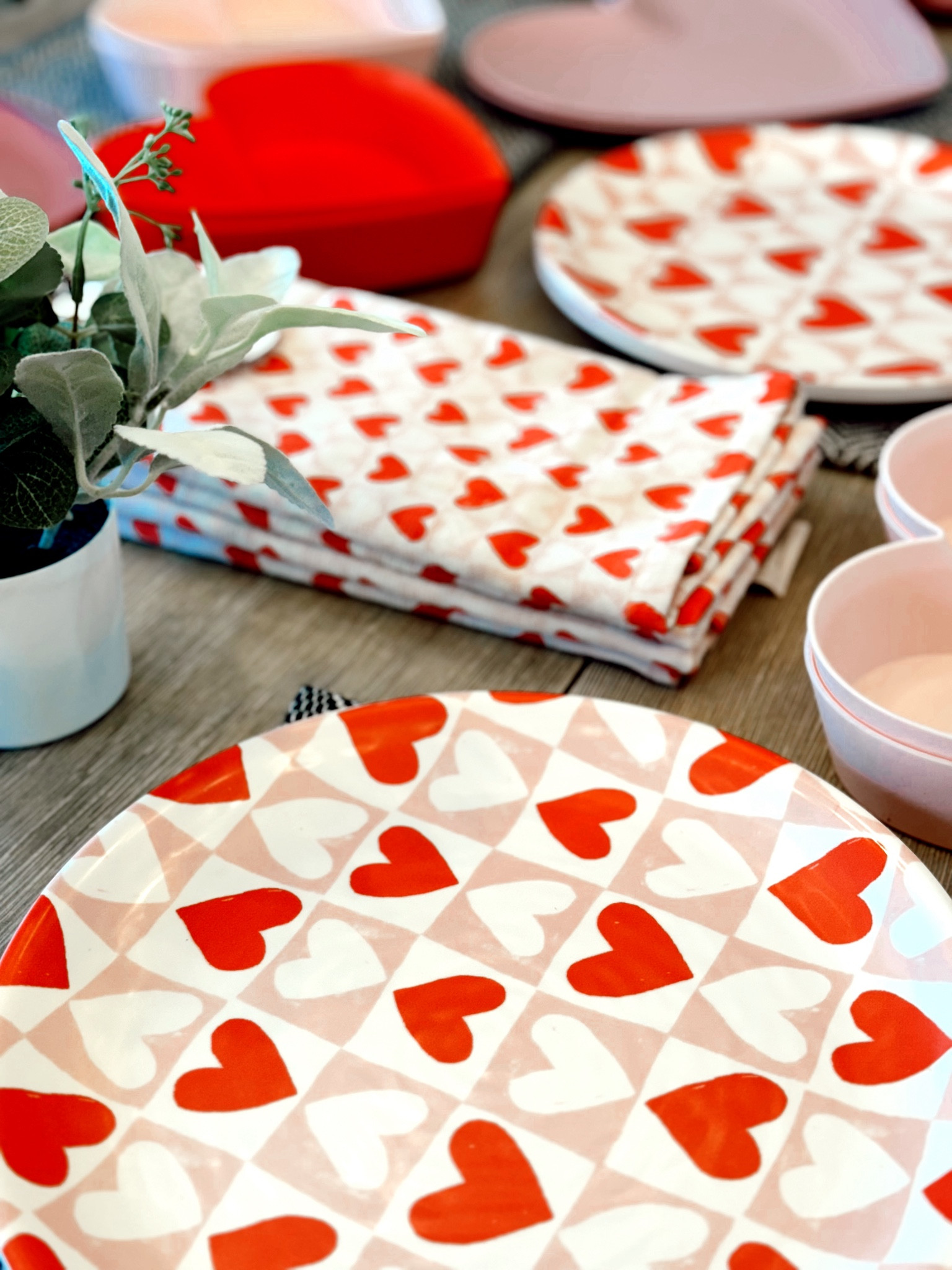 Cutest valentine kitchen items at target! Hurry these sell out fast! 🩷

#LTKfamily #LTKSeasonal #LTKhome