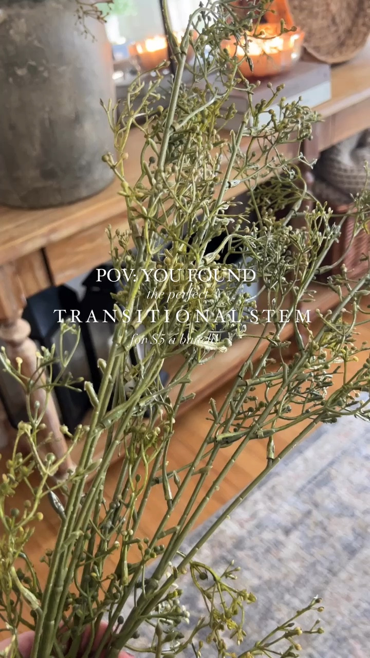 The most perfect organic modern transitional winter to spring stem! They add the perfect pop of green, but still muted so it feels season appropriate. Best of all it’s just around $5 for a bunch of 3. They’re tall and make such a statement in an oversized vase.

#LTKHome #LTKFindsUnder50 #LTKSeasonal