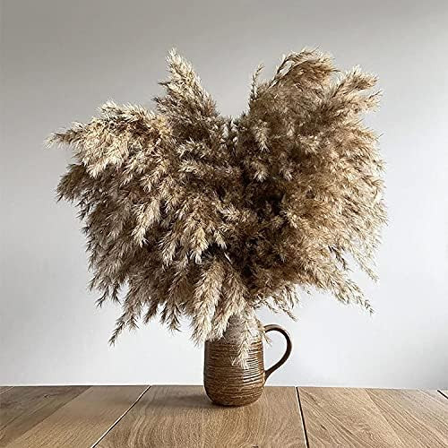 20 Stem Pampas Grass , 17 inch/45 cm Natural Dried Pampas Grass Fluffy Stems Decor for Flower Arr... | Amazon (US)