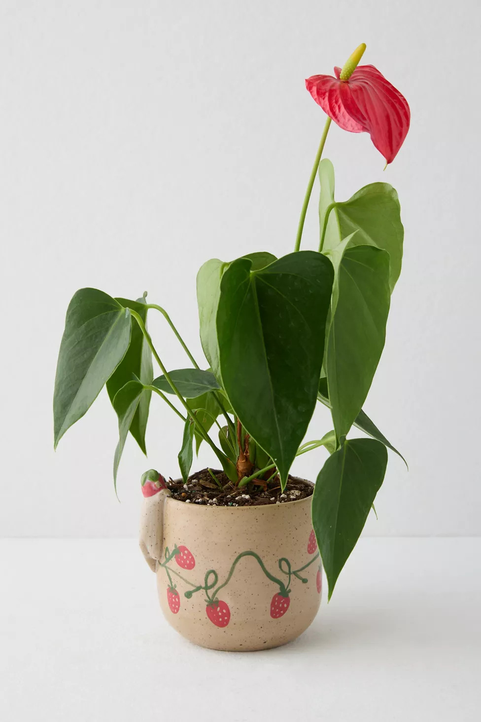 Peeking Animal Planter | Urban Outfitters (US and RoW)