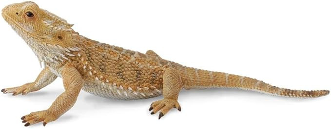 CollectA Bearded Dragon Lizard Toy Figure - Authentic Hand Painted Model , Tan , 1.6 inch | Amazon (US)